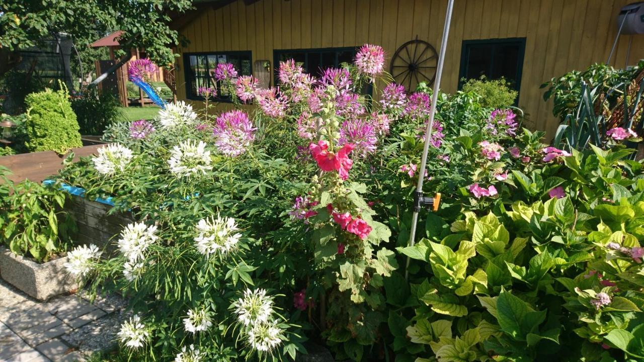 Farm stay Fenzl Pocking (Passau)