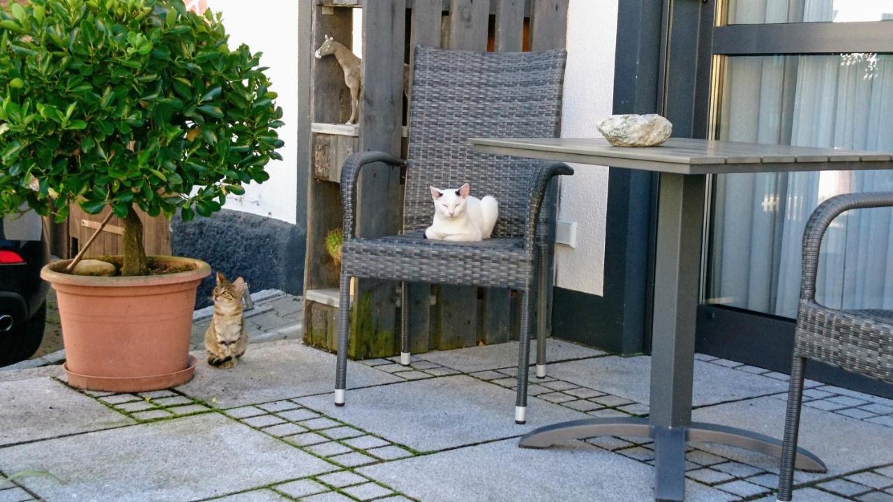 Farm stay Fenzl Pocking (Passau)