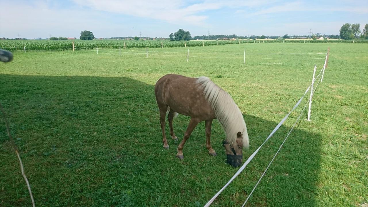 Fenzl * Pocking (Passau)